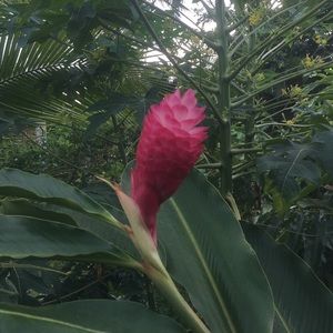 Meet your Posher, Monica